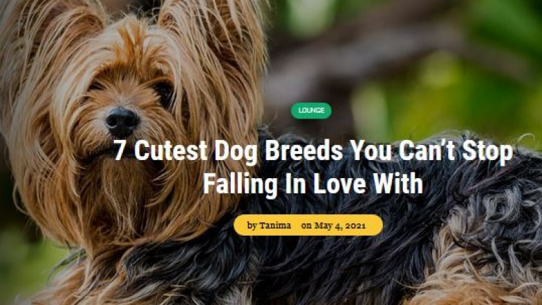 Most Adorable Dogs & Puppies Breeds