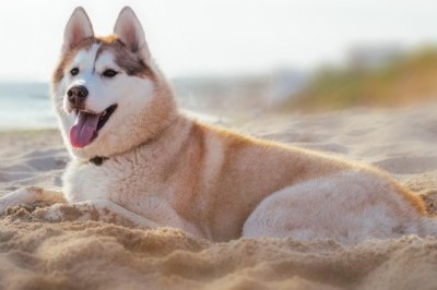 Nothing better than COMBO PACK Deals!!