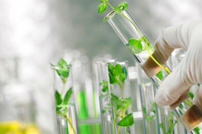 Bio-identical Hormones Market Size, Trends and Insights