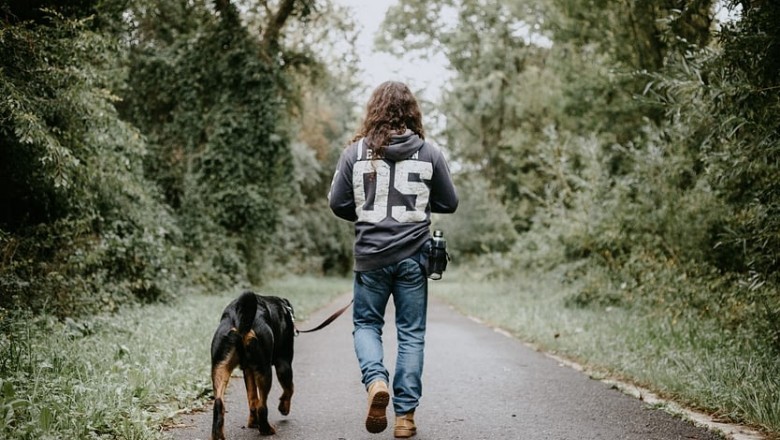 Pets Lover Blog | We love Pet Animals | Find pet products