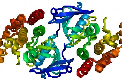 BRAF Kinase Inhibitors Have Shown Promise in Controlling the Growth of Certain Tumors in Recent Research.