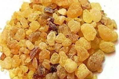 Opoponax Extract Resinoid Finds Application in Anti-Wrinkle, Skin Rejuvenation, and Anti-Aging Products