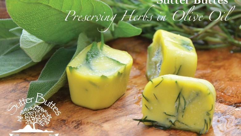 Fig and Olive Tapenade