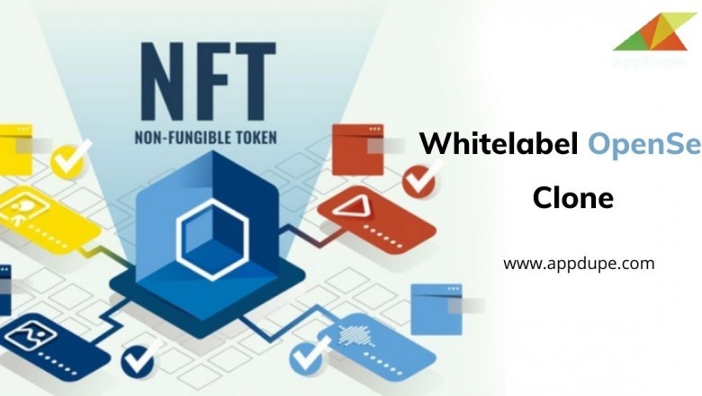Emerge as the leader of the crypto world with an outstanding OpenSea Clone