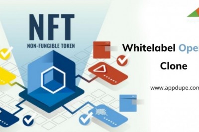 Emerge as the leader of the crypto world with an outstanding OpenSea Clone