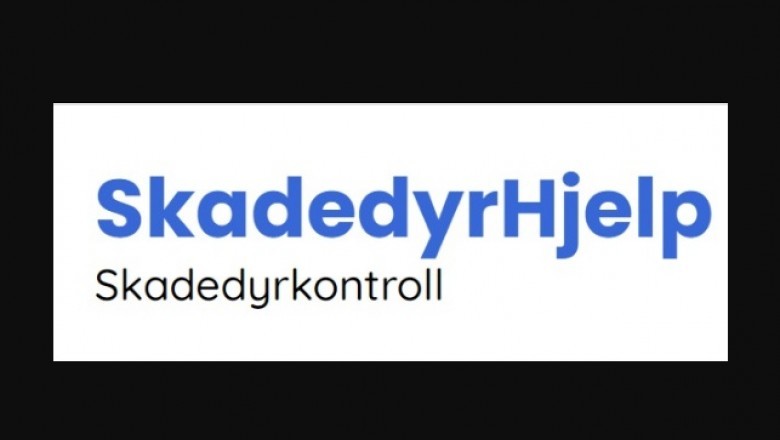 Why Look at Pest Control Services?