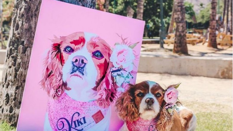 Personalized Pet Canvas Art