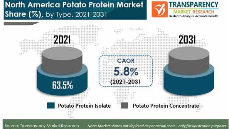 Potato Protein Market - North America Industry Report, 2031