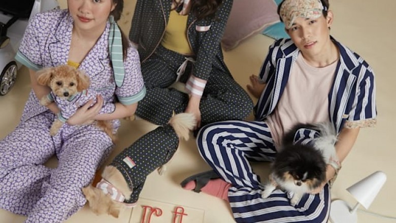 How you can Uncover Discount Pet Supplies