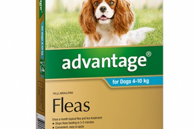 Buy Advantage For Medium Dogs Aqua Pack Online | Low Prices | DiscountPetCare