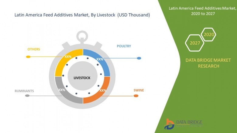 Latin America Feed Additives Market: Discover the latest trends and Ideas