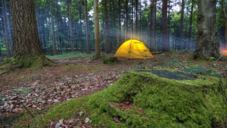 Best 5 Alternative UK Holidays Ideas In 2021 | Legal Bulletin News