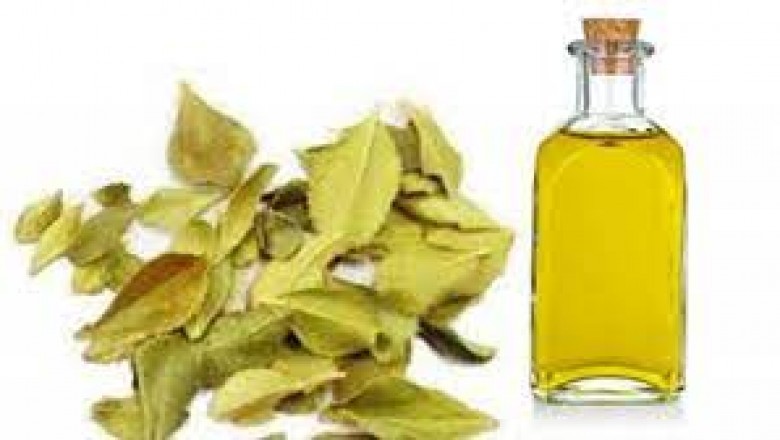 Buchu Oil Market Current Trends Analysis, 2017-2025