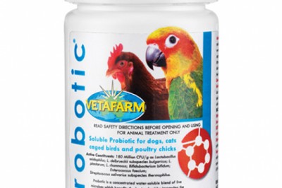 Buy Vetafarm Probiotic For Pigeons & Caged Birds | DiscountPetCare