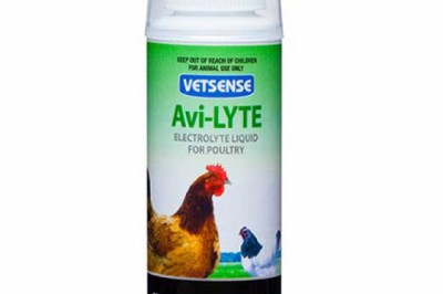 Buy Vetsense Avi-Lyte Liquid Electrolyte For Bird | DiscountPetCare