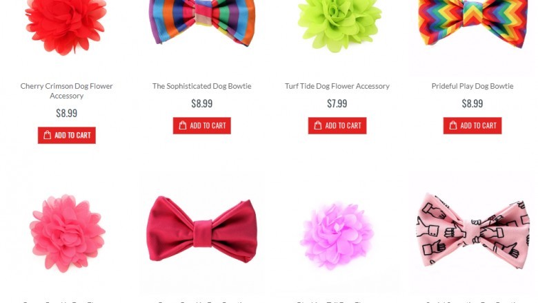 Reach Us for Best Dog Products – Toy Doggie Brand