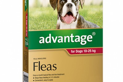Buy Advantage For Large Dogs 10-25KG 6 Pack Red | DiscountPetCare