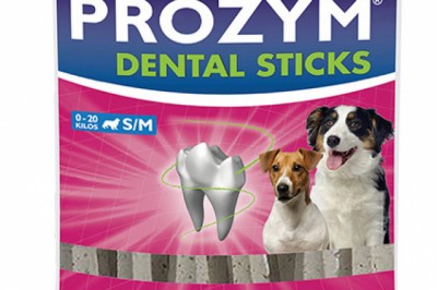 Buy Dental Care Products For Dogs Online | DiscountPetCare