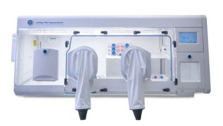 In an existing laboratory incubator, the Hypoxia Chamber can be important in maintaining a hypoxic condition for up to 12 hours