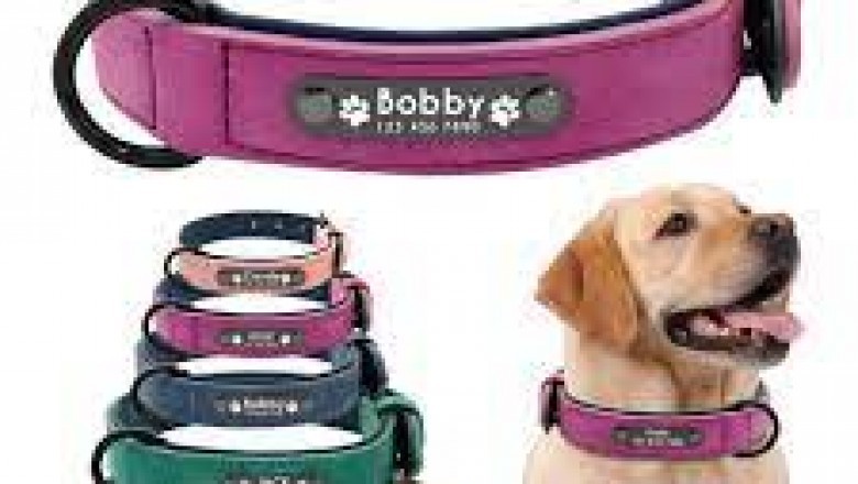 A Brief History of the Dog Collar
