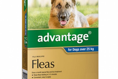 Buy Advantage For Extra Large Dogs Over 25KG 6 Pack Blue | DiscountPetCare