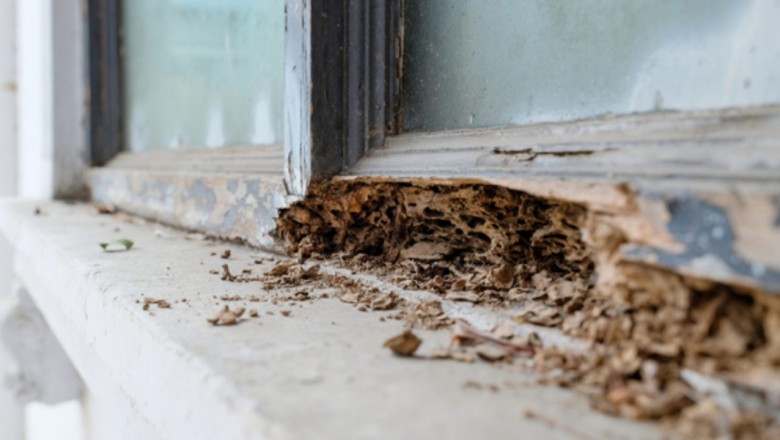 What are The Signs of Termite Infestation?