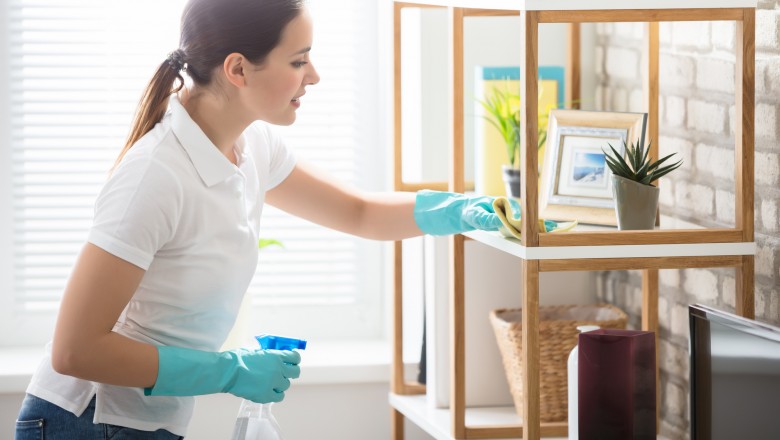 Independent vs. Corporate Maid Services