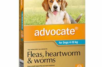Buy Advocate For Medium Dogs 4-10 Kg Aqua Pack | Low Prices | DiscountPetCare