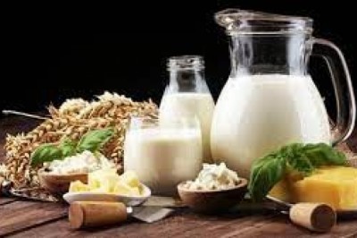 Dairy Nutritional and Nutraceutical Ingredients Market to Register a Moderate CAGR of 8.1% During the Forecast Period 2020–2027