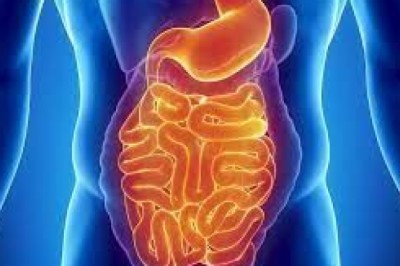 Growth In Sales Of Visceral Pain Treatment Market To Push Revenue Growth In The Market