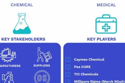 North America Palmitoylethanolamide Market Size By Type (Purity>98%, and Purity>99%), By Regional Analysis And Forecast