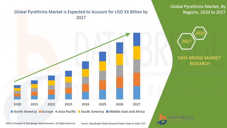 Pyrethrins Market Gainful insights into the Industry Key Developments, Analysis and More