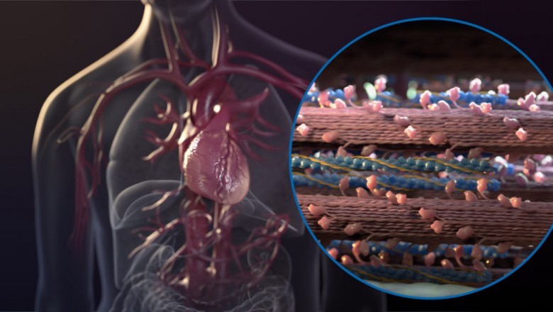 The birth of medical animation has sparked the interest of educational experts in the medical field who are interested in using animation to inform and inspire students