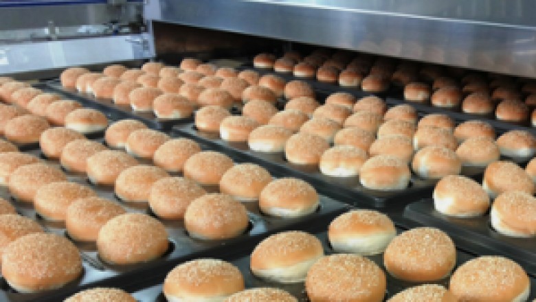 Patty Forming Machine