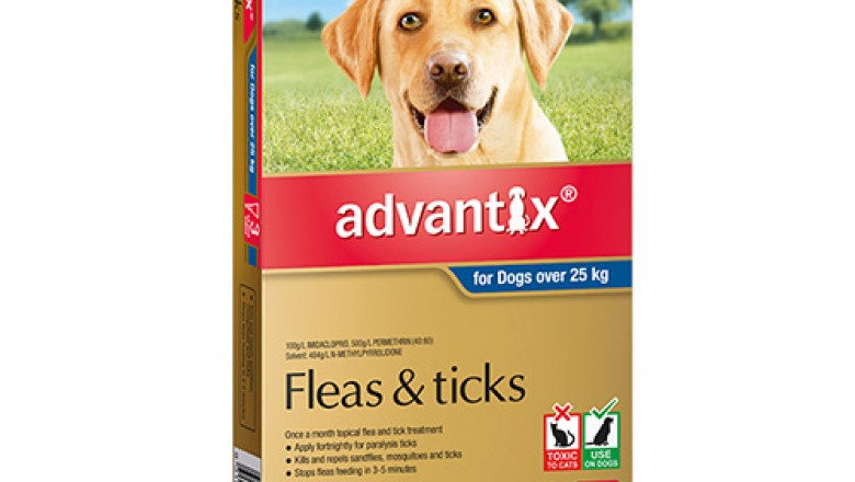 Buy Advantix For Extra Large Dogs Over 25Kg 6 Pack Blue | DiscountPetCare