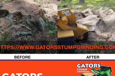 stump grinding jacksonville fl