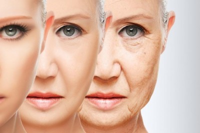 The global Skin Replacement Market is segmented on the basis of material used, end user, and geography.