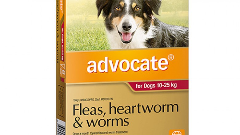 Advocate For Large Dogs 10-25Kg 6 Pack Red | DiscountPetCare