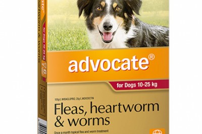 Advocate For Large Dogs 10-25Kg 6 Pack Red | DiscountPetCare