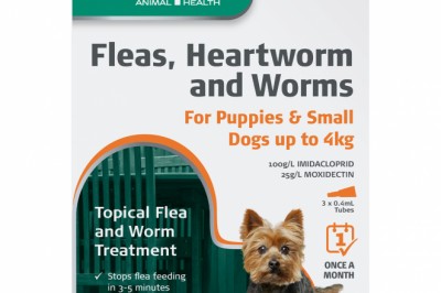Aristopet Flea & Worm Treatment For Dogs and Puppies | DiscountPetCare