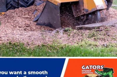 Gators Stump Grinding  Jacksonville Fl