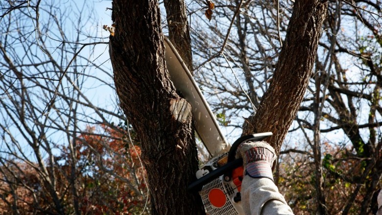 How Handyman for Senior Citizens Take the Burden Off You?