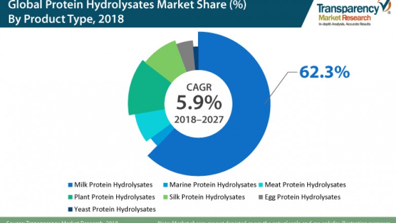 Protein Hydrolysates Market- Type, Applications, Region, End use and Forecast Analysis to 2027