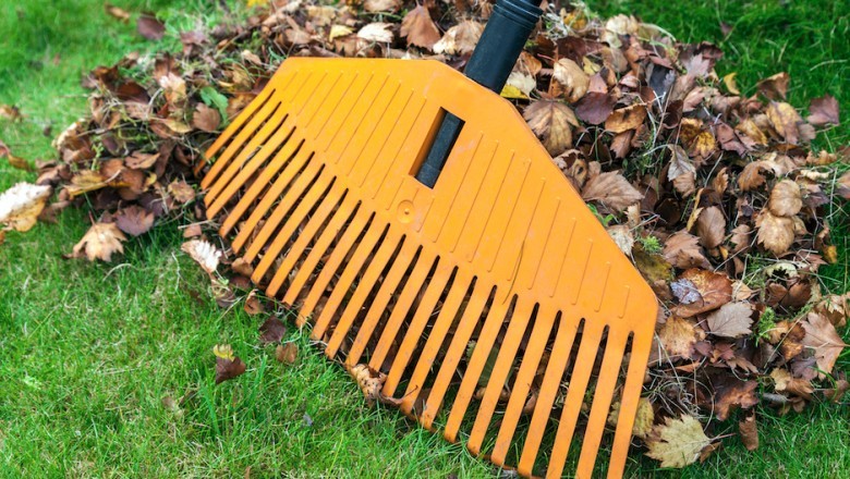 Top 4 Reasons Why Older Adults Should Get Gardening Services