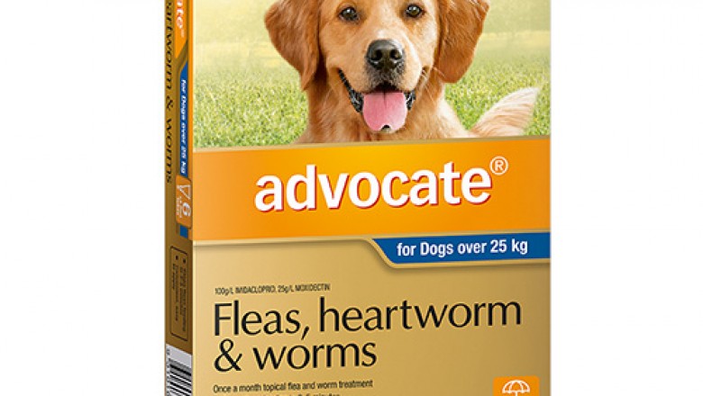 Buy Advocate For Extra Large Dogs Over 25Kg 6 Pack Blue | DiscountPetCare