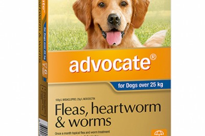 Buy Advocate For Extra Large Dogs Over 25Kg 6 Pack Blue | DiscountPetCare