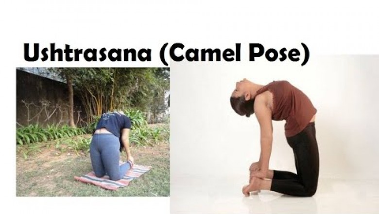 How to do Camel Posture (Ushtrasana) in Yoga | Superyogis