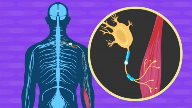 Amyotrophic Lateral Sclerosis (ALS) Treatment is largely affected by the age of the patient