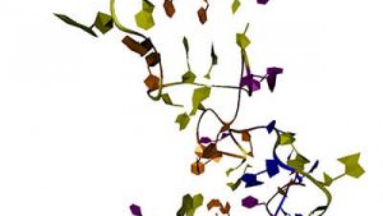 Aptamers are used in a variety of research and diagnostic projects around the world.