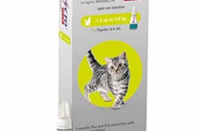 Buy 3 Doses +Get 1 FREE :  Bravecto Plus For Cats Hurry Up Offer Expires Soon
